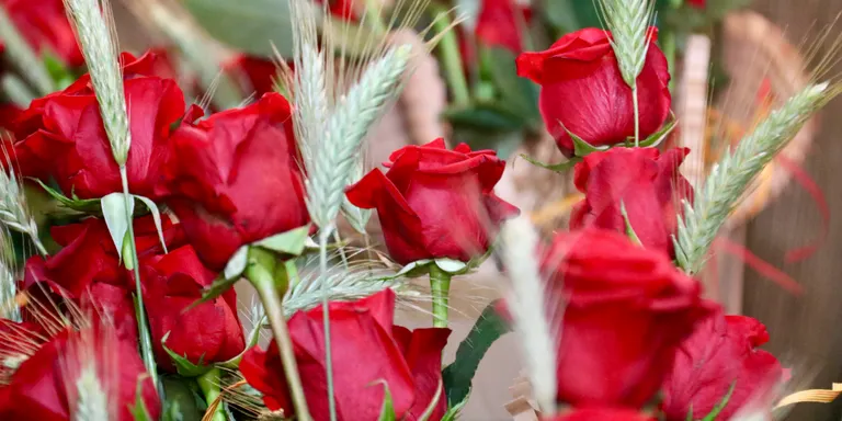 El Gremi de Floristes veu difícil assolir els set milions de roses per Sant Jordi, però celebra "l'ambient"
