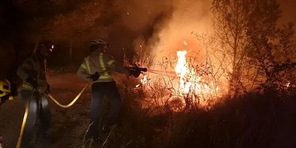 Extingit l'incendi de vegetació de Roda de Berà, que ha cremat 1,5 hectàrees de matoll i pi blanc regenerat