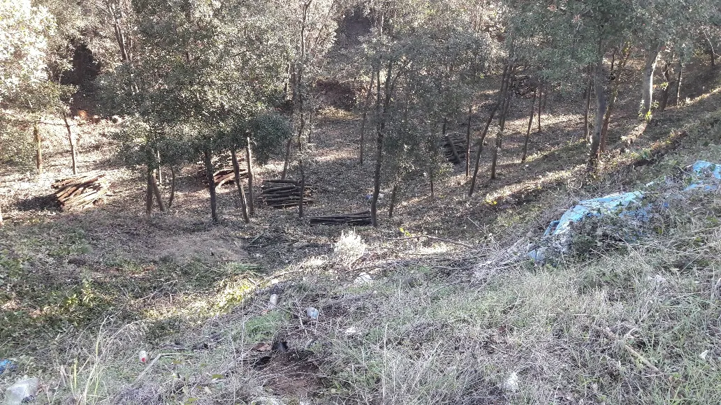 L'Ajuntament de Caldes intensifica el manteniment dels boscos de les urbanitzacions davant la previsió d'un estiu amb risc alt d'incendi