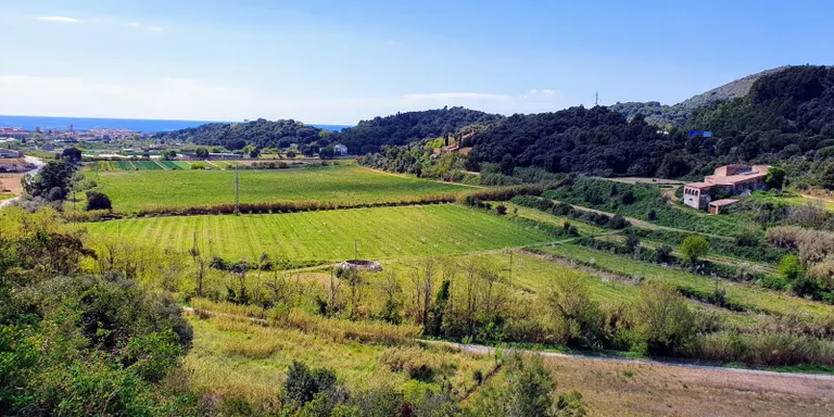 Dia radiant de sol i ambient suau per les brises