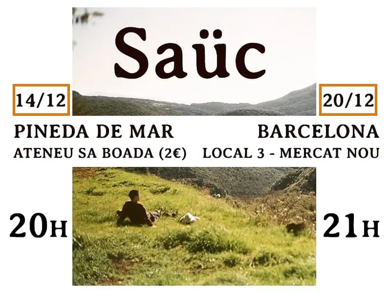 El grup Saüc s'estrena a Pineda amb un concert a l'Ateneu Sa Boada