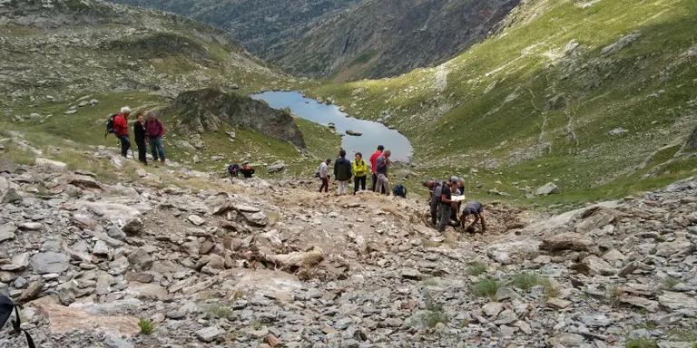 Les ovelles mortes a la muntanya de Lladorre es van estimbar per l'atac d'un ós