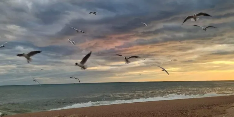 Dia de núvols i ambient d'hivern