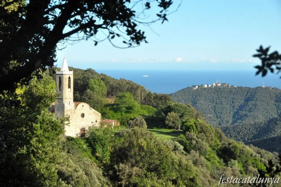 L'Escola d'Hortsavinyà presentarà durant l'Aplec de l'Erola una App per conèixer els arbres del Montnegre