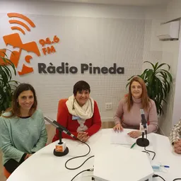 Pineda es Mou: Entitats socials en temps de Pandèmia 10/11/2021 - episode art