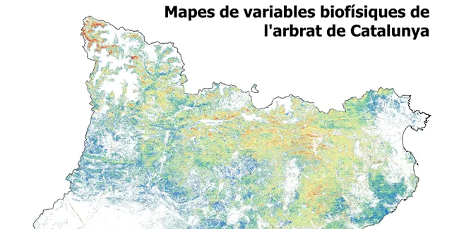 Publicats mapes d'alta resolució de boscos de Catalunya