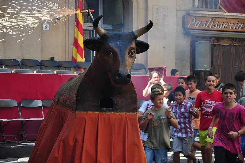 L'Agrupació de Geganters de Solsona organitza un curs pirotècnic