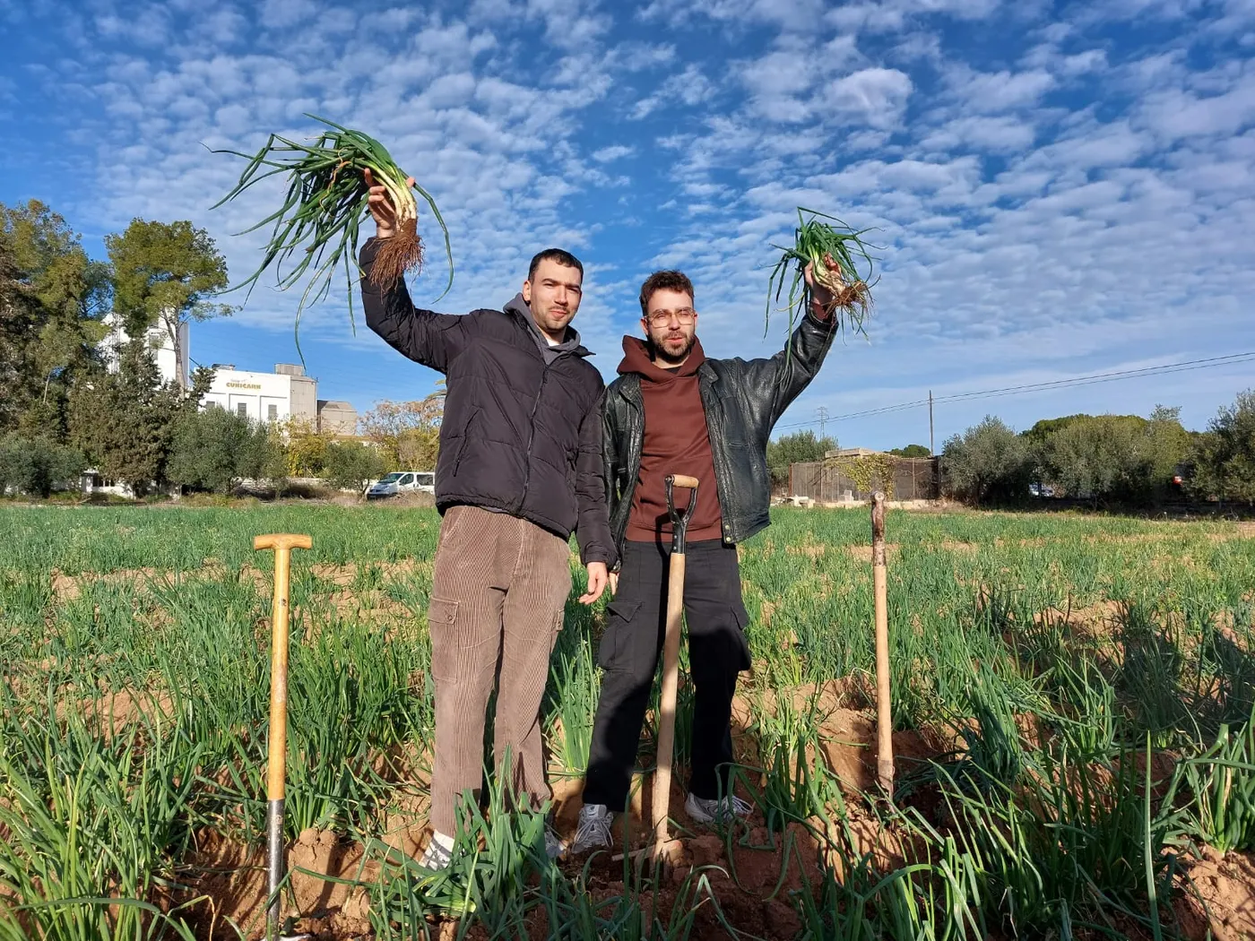 Els Figa Flawas arrenquen el primer calçot de la temporada