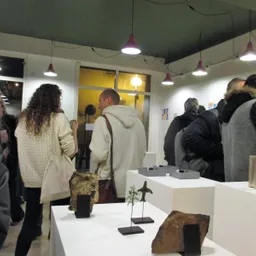 Entrevistes de la Justa del 7/1/2020 — Sigues Original 13x13 i Som Natura: 38 artistes, muntatge en quadrícula i vendes; 3R, capacitat de càrrega i canvi climàtic - episode art