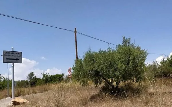 Foto: Altafulla Ràdio