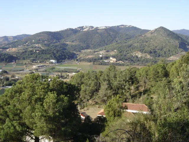Els experts alerten que el Montnegre-Corredor "és un polvorí" i cal una gestió eficaç dels boscos
