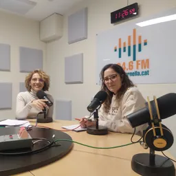 Convocatòria Consell Ciutat - episode art