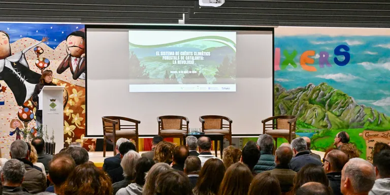 Els crèdits climàtics guanyen terreny a Catalunya per finançar la gestió forestal amb inversió pública i privada