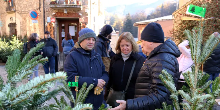 La Fira de l'Avet d'Espinelves preveu rebre més de 9.000 visitants i vendre 3.000 arbres de Nadal