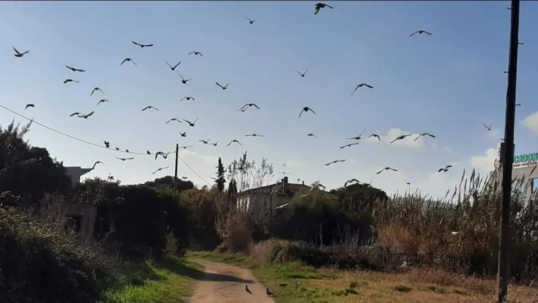 Bonança i ambient normal per l'època
