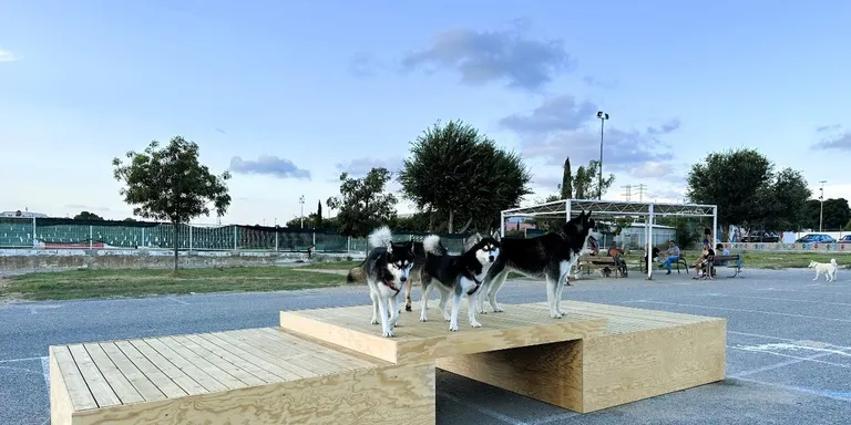 Sosteniblitat posarà cartells als parcs de socialització d'animals