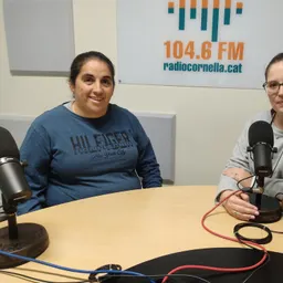 Premi Especial col·lectiu Secció Femenina Fontsanta-Fatjó - episode art