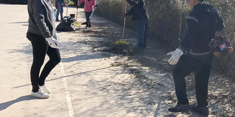 Veïns de Can Carreras es mobilitzen per la neteja de la urbanització