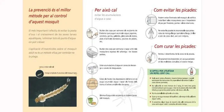 L'Ajuntament d'Altafulla impulsa una campanya de conscienciació per fer front a la proliferació del mosquit tigre