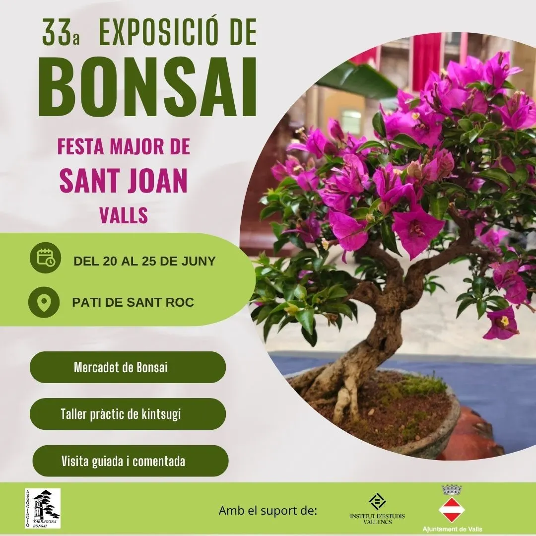 L’exposició de bonsai s’avança a la Festa Major de Sant Joan
