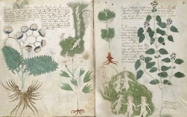 Foto: Imatge de l'original 'Códice Voynich'