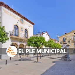 Ple Extraordinari Sentència 191018 - episode art