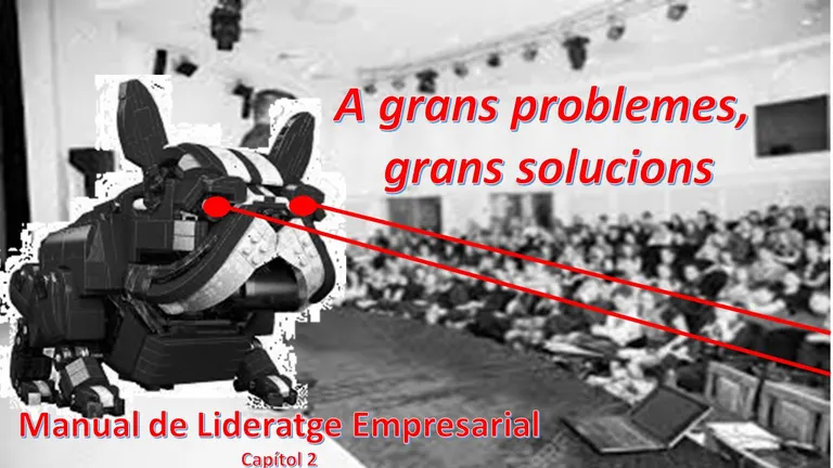 Manual de Lideratge Empresarial - Capítol II: ”A GRANS PROBLEMES, GRANS SOLUCIONS”