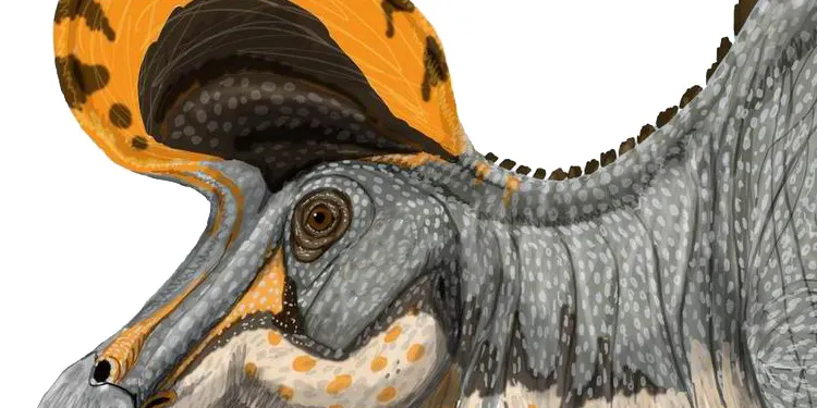 Un estudi conclou que el primer dinosaure lambeosaurí d'Europa vivia a l'Alt Pirineu