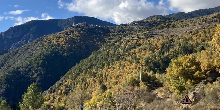 Compromís X Pirineu reclama que es bonifiqui la matrícula en escoles municipals de la Seu a una família de Castellnou de Carcolze