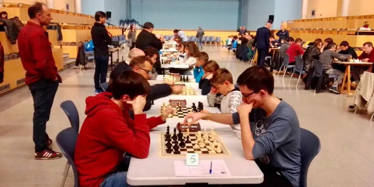 L'Escacs Club la Seu participa al Campionat de Catalunya de categories