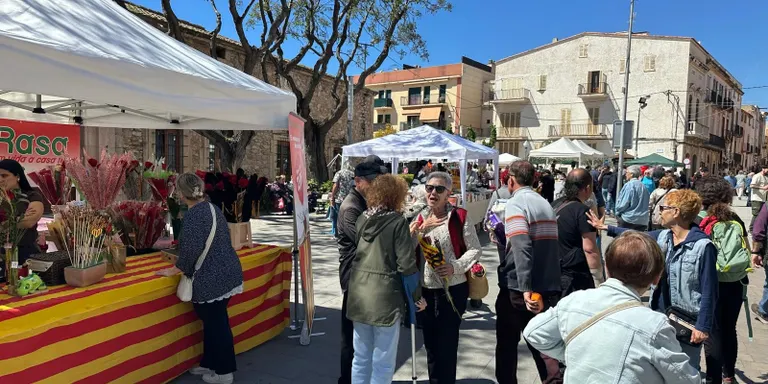 Els llibres i les roses prenen el protagonisme a la plaça Mossèn Joaquim Boronat