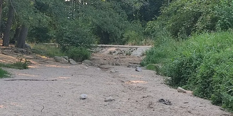 "Necessitem que la gent estalviï aigua" Santa Coloma de Farners en fase d'alerta de sequera i limita l'ús a 250 litres per habitant i dia