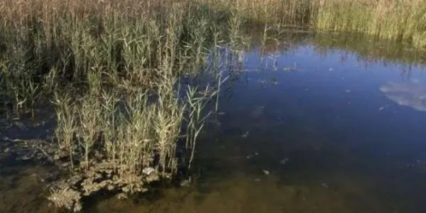 Torna a arribar aigua a la desembocadura del Gaià