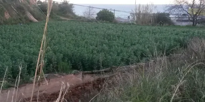 La CUP presentarà una moció al ple de dijous contra la variant de Valldegata