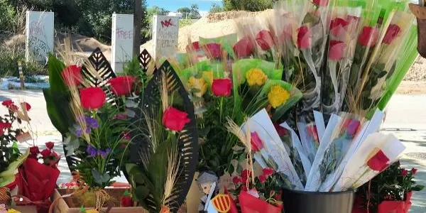 La rosa vermella tornarà a ser la reina d’aquest Sant Jordi