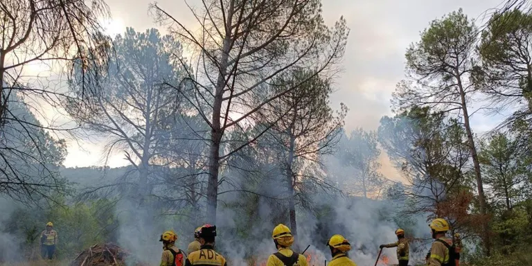 Els Bombers faran una crema prescrita a Olius