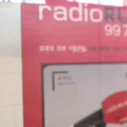 #819 - Pla director Rubí Brilla 2030, línia Forestàlia i energia de Km0 - episode art