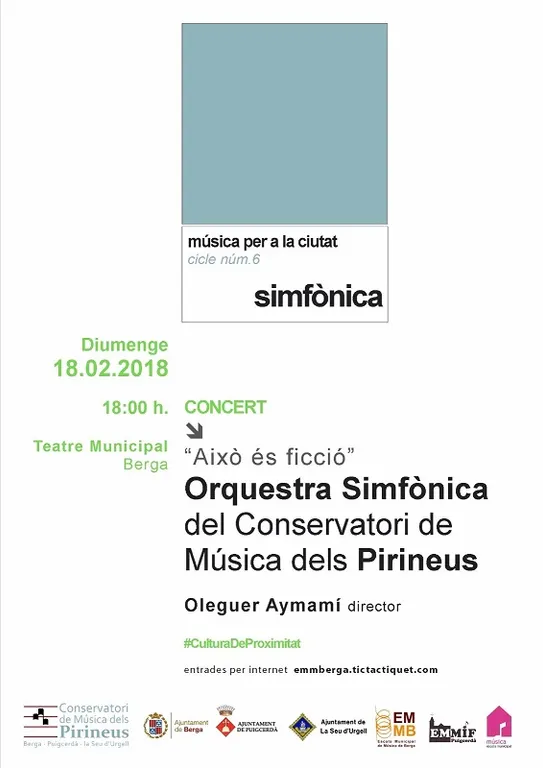 Nou concert simfònic del Conservatori de Música dels Pirineus