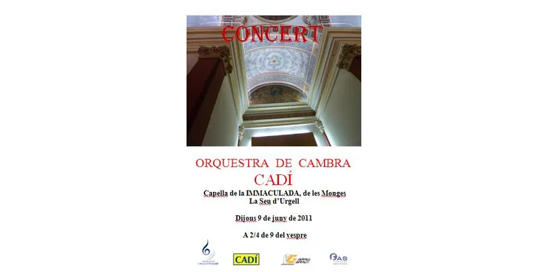 L'Orquestra de Cambra Cadí ofereix un concert a la capella de la Immaculada