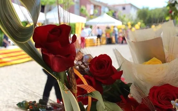Foto: Altafulla Ràdio