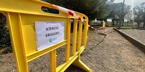 Una plaga d’erugues obliga a abalisar els pins del parc de la Portalada d’Altafulla