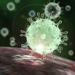 Panorama Informatiu. Especial Coronavirus del 21/3/2020 - episode art