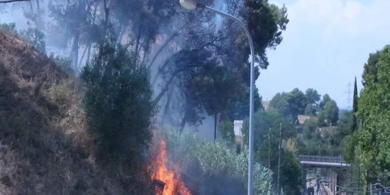 Un incendi crema uns 7.000 metres quadrats de vegetació a Can Fatjó