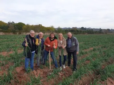 Quim Masferrer inicia una campanya il·lusionant del calçot i les calçotades