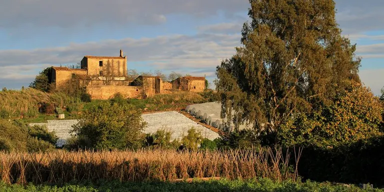 Els Fotògrafs de Pineda organitzen un curs d'edició de fotografies amb el mòbil