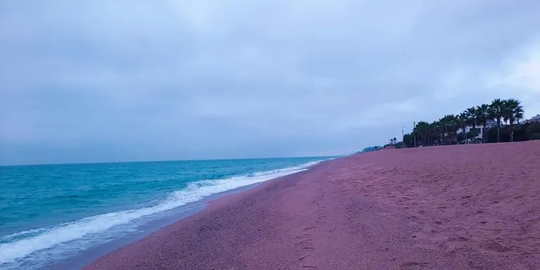 Cel variable i ambient suau