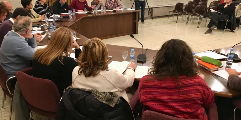 El ple de la Seu descarta modificar la normativa del Síndic Municipal de Greuges