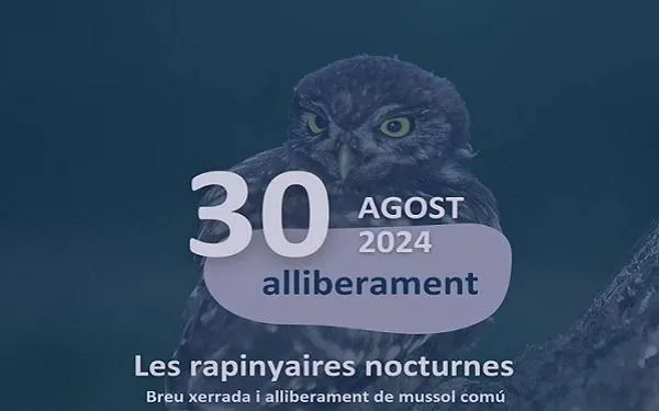 Foto: Associació Mediambiental la Sínia