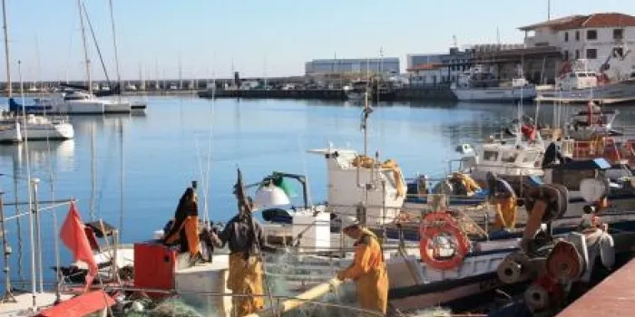 Els pescadors diuen que es pesca poc calamar a la nostra costa