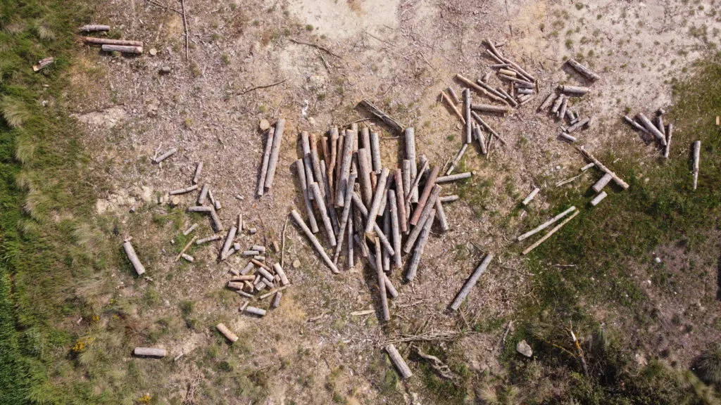 L'Associació Forestal de la Vall de Lord, inclosa a la primera convocatòria de microprojectes de cooperació transfronterera
